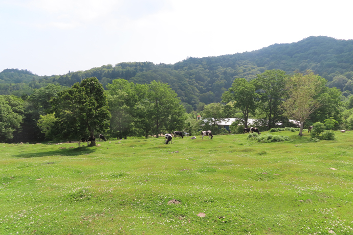 ushimiru