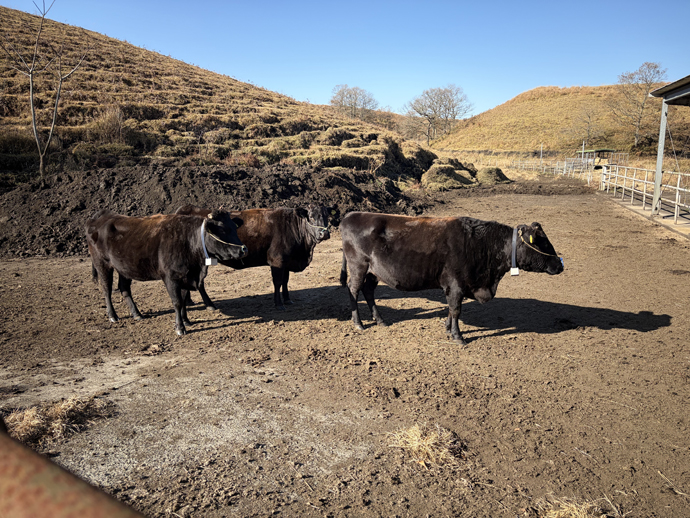 
下平川牧野組合様